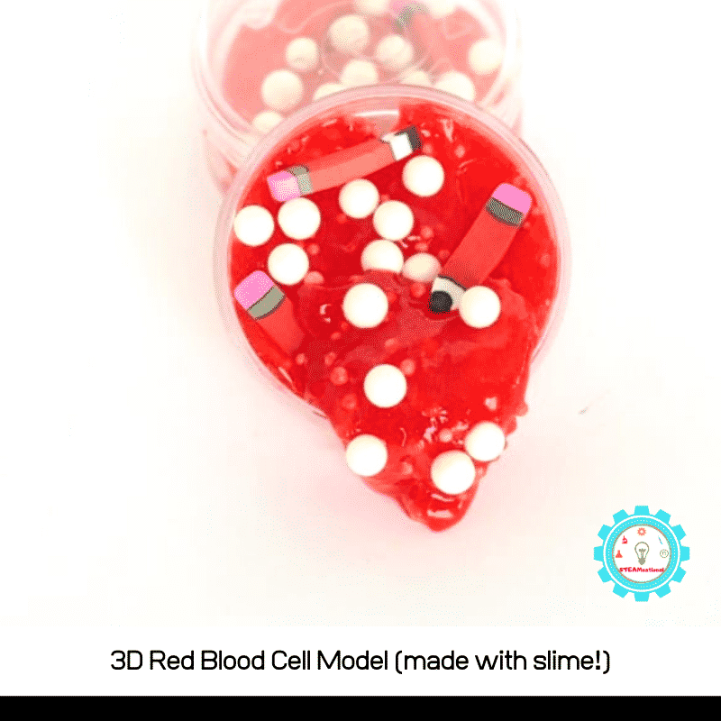 Kids can learn how to make a model of blood with this red blood cell 3D model that is made with a thick slime recipe!