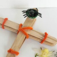 Want a quick Halloween STEM activity that won't break the bank? Try making a creepy crawly Halloween catapult! So many ways to learn and very little set-up.