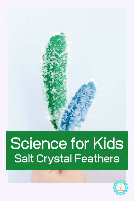 growing crystals science fair project