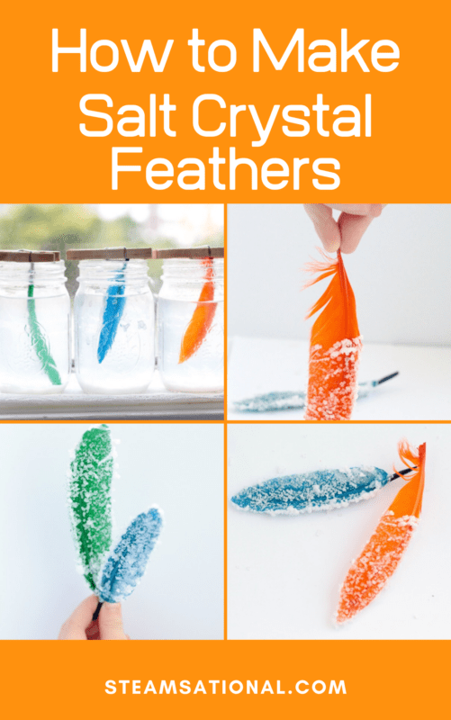 how to make salt crystal feathers