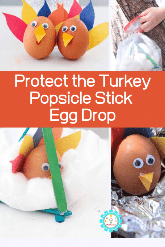 egg drop project popsicle sticks