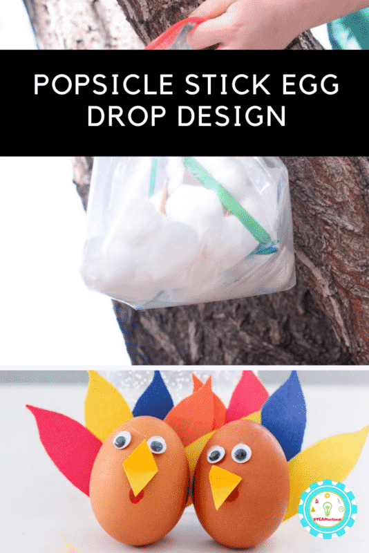 popsicle stick egg drop design