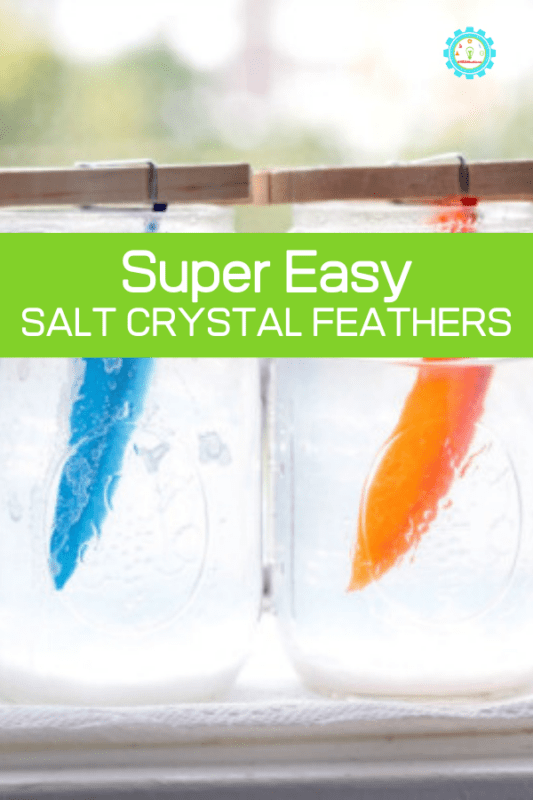 salt crysatal feathers