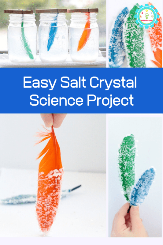 salt crystal science project