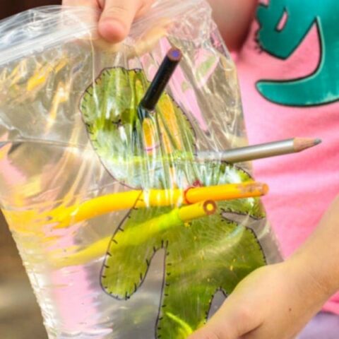 Have you ever tried the leakproof bag science experiment? Now, there is a fun voodoo doll Halloween version. Kids will love this spooky science activity!