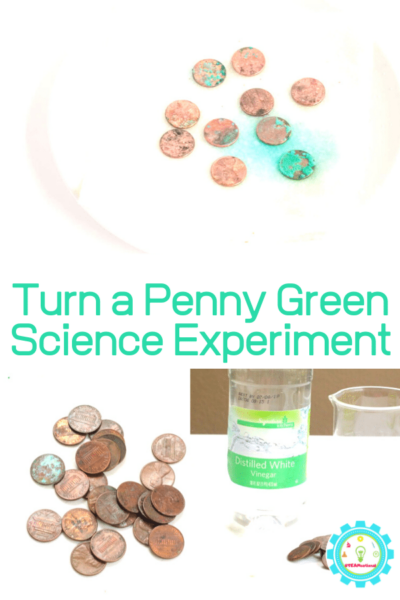 Chemical Reactions! How to Turn a Penny Green Experiment