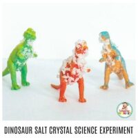 Learning with dinosaurs is so much fun. Use this science experiment to learn about salt crystals using dinosaurs! The dinosaur salt crystal science experiment is a fun learning activity for preschoolers and kindergarten. #dinosaurs #handsonlearning #scienceexperiments #preschoolactivities