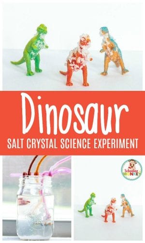 Easy Salt Crystal Science Experiment for Kids