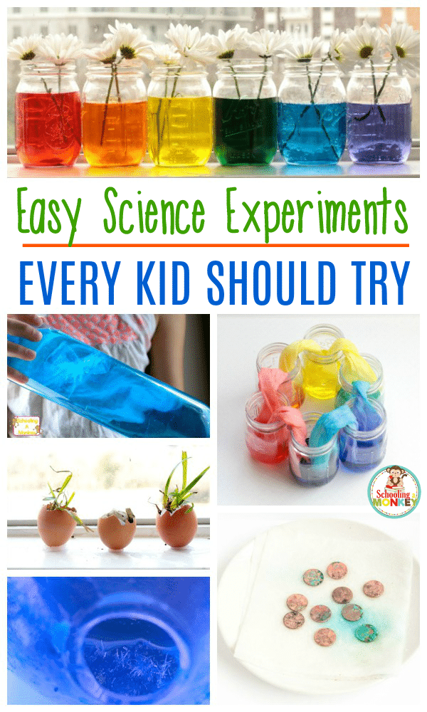 Looking for science experiments for kids? These school science projects for kids are the perfect science projects for kids to use for school science fairs and science learning with kids! #science #scienceexperiment #stemactivities #stem
