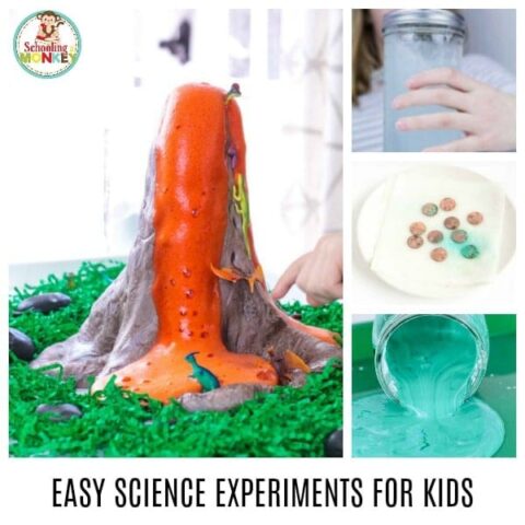50+ Easy Science Experiments for Kids!