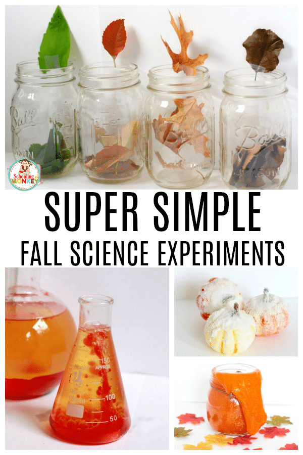 Kids will fall in love with these fall science experiments. This is the ultimate list of science experiments for the fall seasona and provide the perfect fall activities for kids. #stemactivies #scienceexperiments #science #scienceforkids #kidsactivities #fallactivities