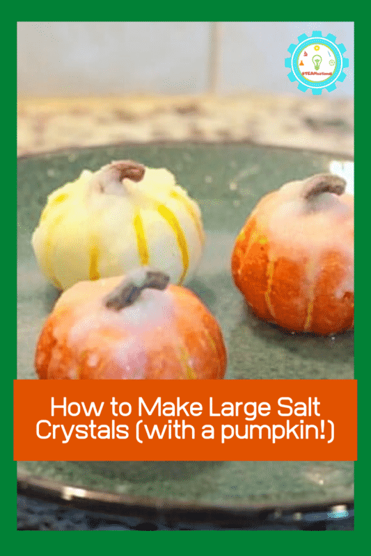 Fall means pumpkins, acorns, fall leaves, and all things autumnal. Bring the science to fall when you learn how to make large salt crystals using pumpkins!