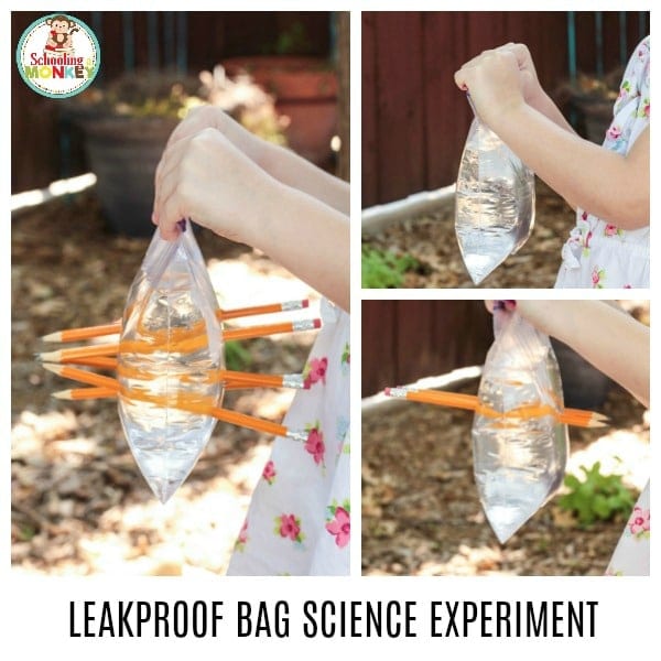 子供はleakproof袋科学の実験との送風があります。 ポリマー鎖の科学は、子供たちに化学結合科学を導入するのに最適な方法です。 #科学実験#stemactivities#handsonlearning#科学クラス#科学実験#stemactivities#stemactivities