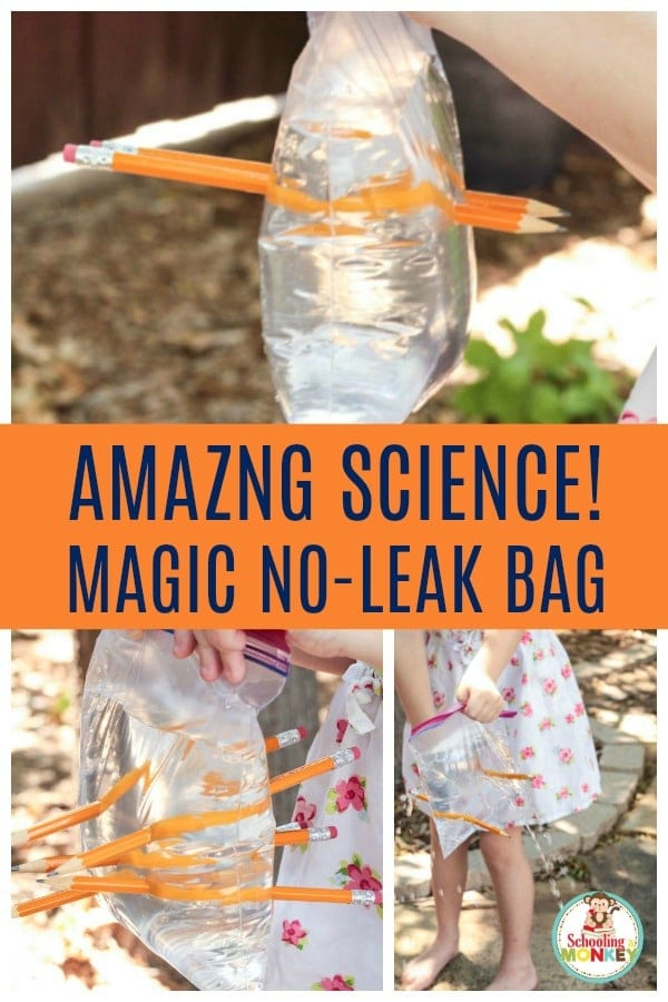 Amazing magic no leak bag science experiment is an easy science experiment that wows! Use the included lesson plan and leak proof bag worksheet to make teaching a breeze! #science #stemed #stemactivities #scienceexperiment