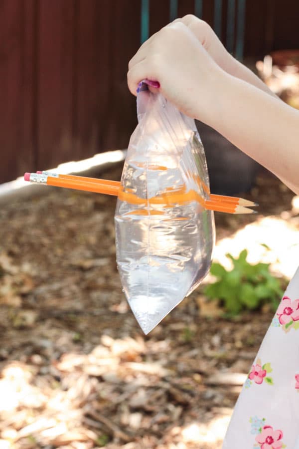 Blyanter fast i plastpose demonstrere polymer kjeder i leakproof bag eksperiment