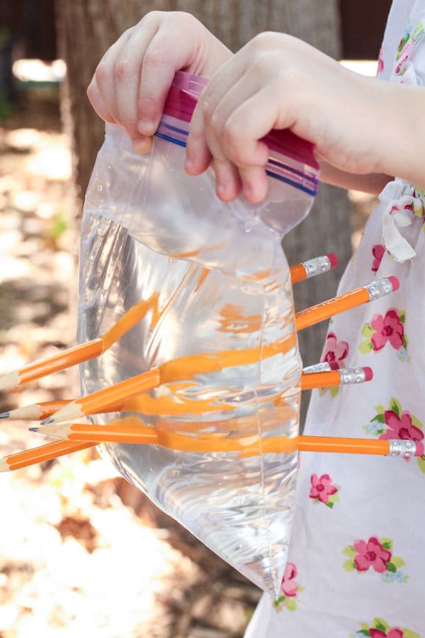 Pencils stuck through plastic bag filled with water as part of the leak proof bag lesson plan