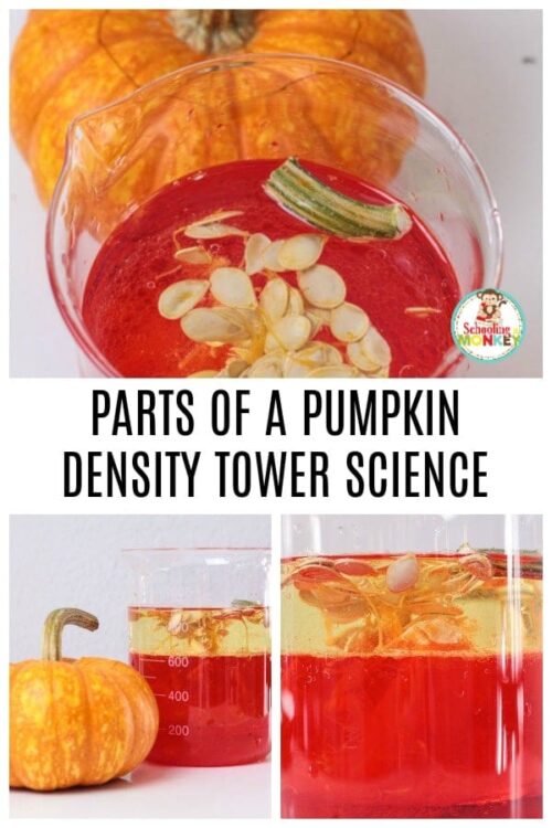 Parts of a Pumpkin Density Column Experiment