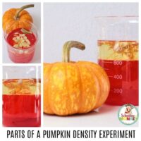 Take your density experiments to the next level with the pumpkin density for kids activity! Building a density column has never been this fun! #stemactivities #stemed #stem #handsonlearning #fallactivities #scienceexperiments