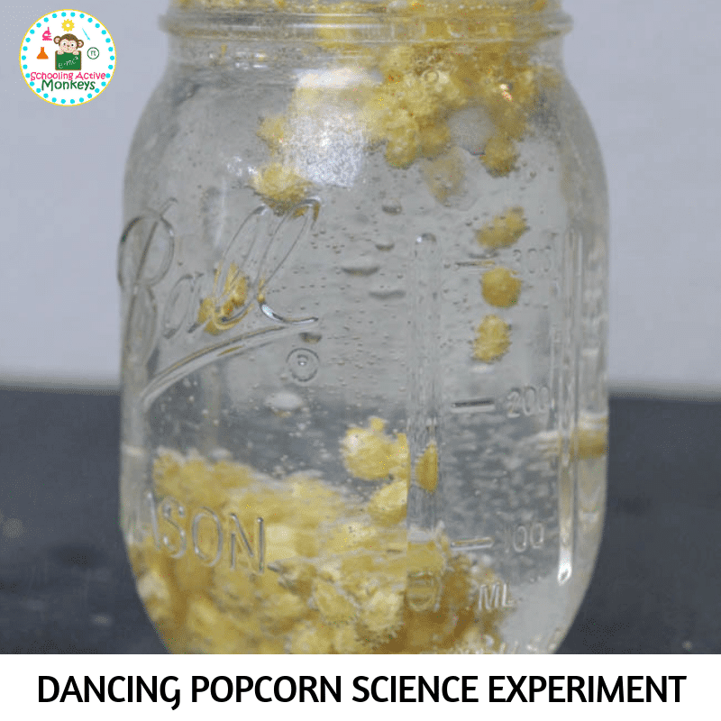 Can you get popcorn to dance? You can in this fun STEAM activity that’s the perfect Thanksgiving science experiment for kids! #scienceexperiment #scienceforkids #stemed #stemactivities #thanksgivingactivities