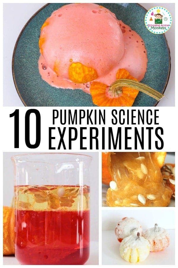 Pumpkin science experiments are the ultimate in fun and learning for kids. Elementary science and preschool science is better with pumpkin activities. #stemed #stemactivities #scienceexperiments #scienceforkids #fallactivities