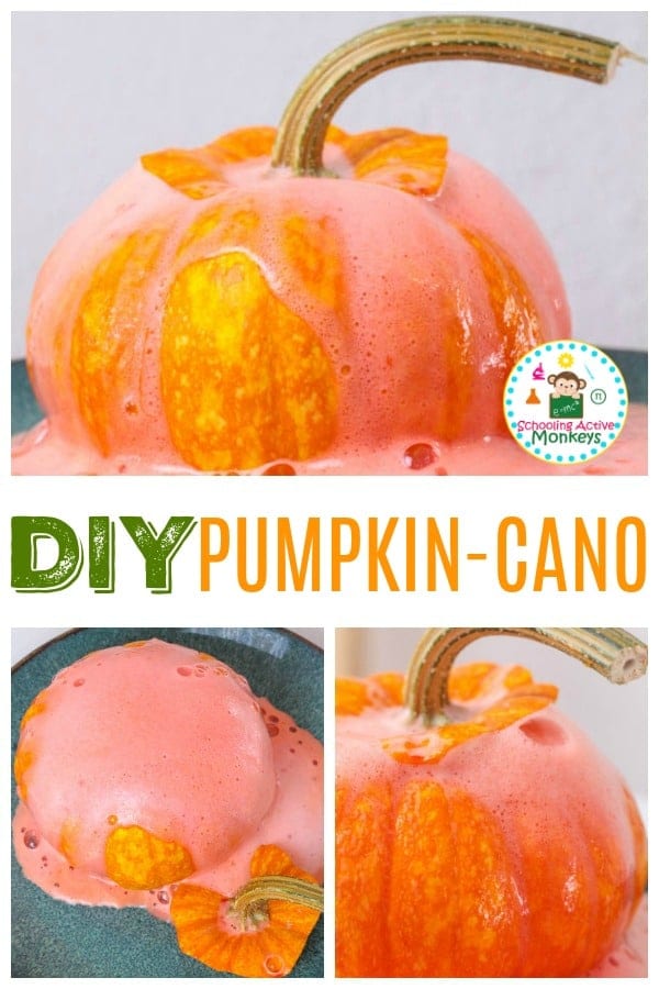 The fun never stops with a pumpkin volcano activity. Explore pumpkin science with this pumpkin science activity and keep the learning going all season long! #stemed #stemactivities #scienceexperiments #scienceforkids #fallactivities