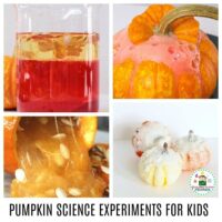 Take your fall science experiments to the next level with these pumpkin science experiments! Kids will love these pumpkin science activities! #stemed #stemactivities #scienceexperiments #scienceforkids #fallactivities