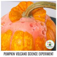Who doesn’t love a good volcano science experiment? The pumpkin volcano science experiment is a fun fall twist on a classic! #stemed #stemactivities #scienceexperiments #scienceforkids #fallactivities
