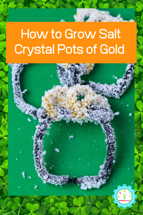 how to grow salt crystals at home