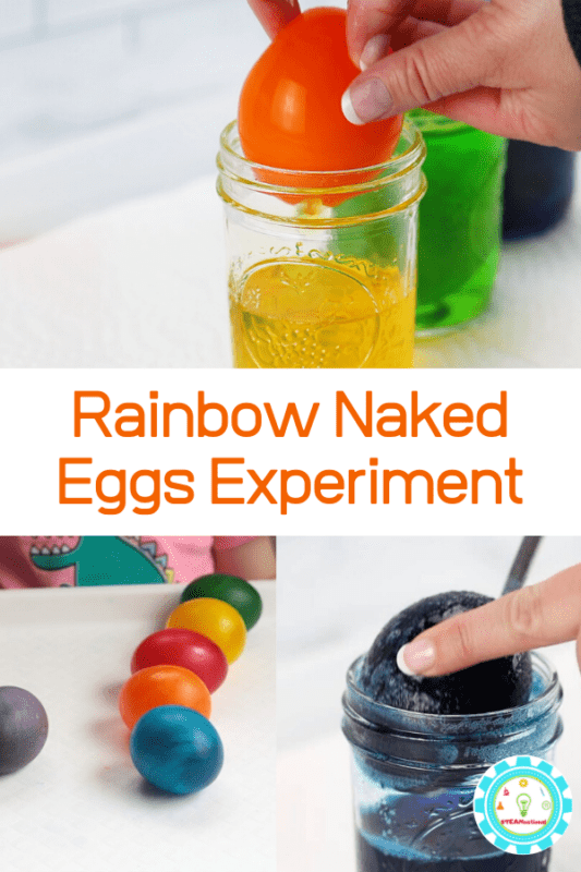 naked egg experiment