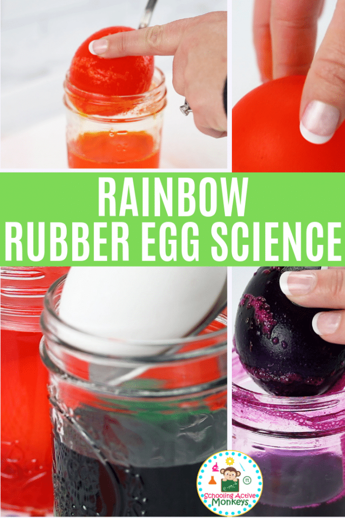 rubber egg science
