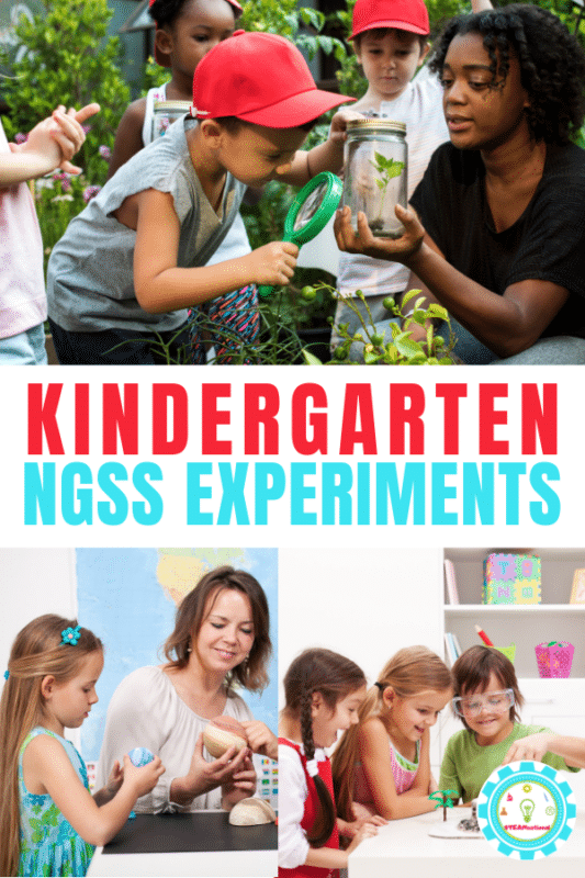 ngss kindergarten experiments