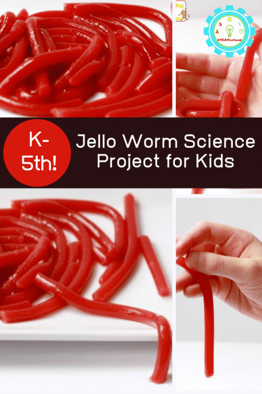 jello worm science project for kids