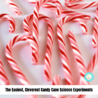 If you love candy canes, you'll love these candy cane science experiments! Fun Christmas science and winter science experiments for kids!