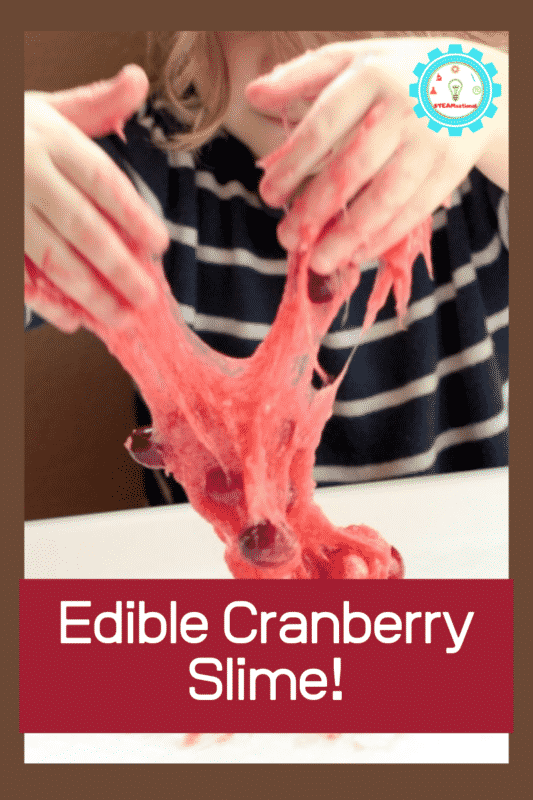 edible cranberry slime