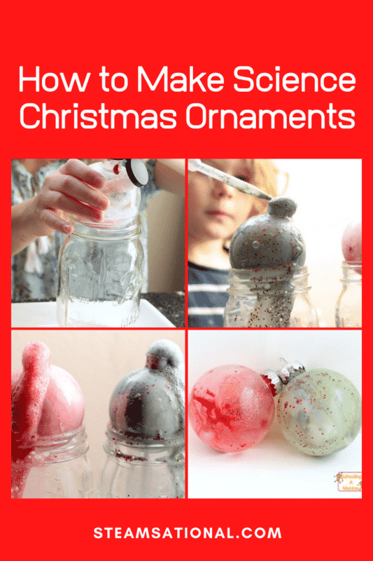 science christmas ornaments