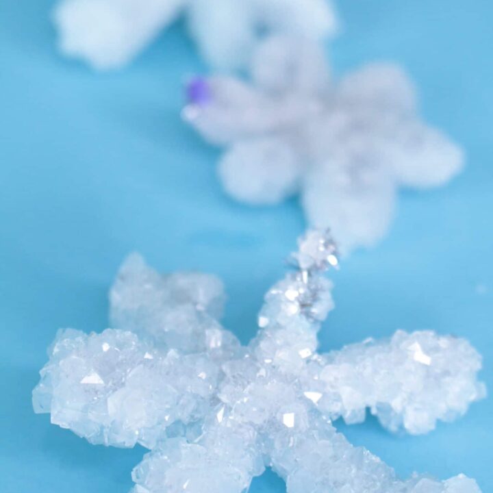borax crystal snowflakes