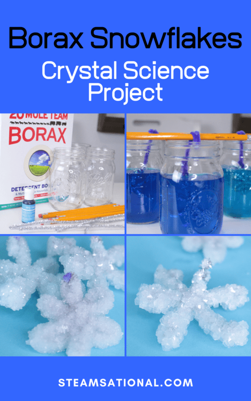 borax crystal science fair project