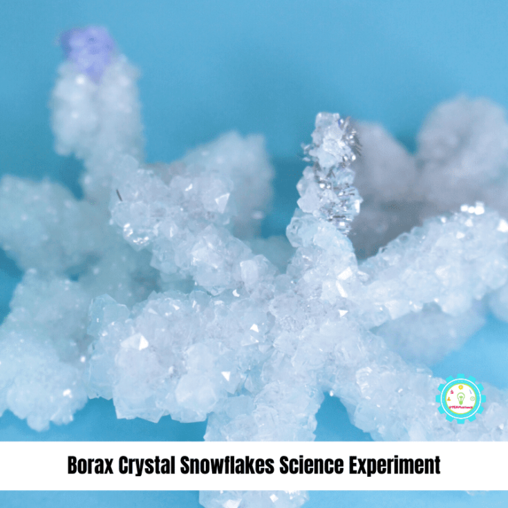 borax crystal snowflake science experiment