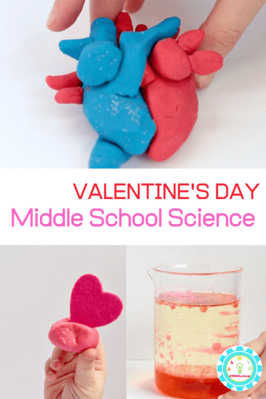 middle school valentine science