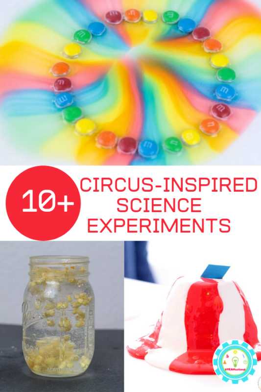 If you love the circus and science, then you'll have a blast trying out these circus science experiments. Kids will love the circus science activities!