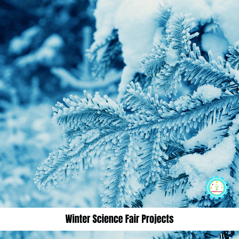 winter science fair projects