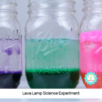If you haven't tried doing the lava lamp experiment yet, make this your year! It's such a fun and simple addition to no-prep STEM activities.