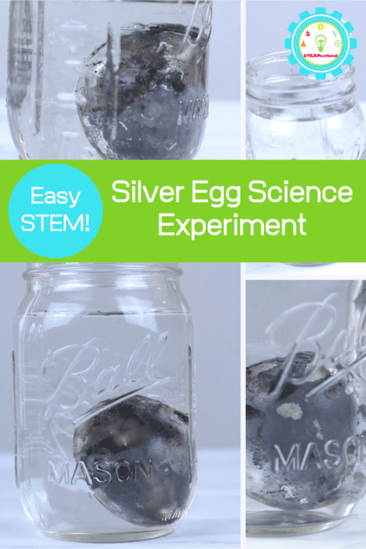 silver egg science activitiy