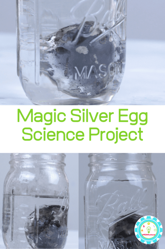 Super impressive silver egg science experiment! Transform a black egg into a silver egg with light refraction. It looks so cool!