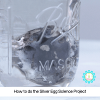 Have you seen the silver egg science experiment? In this experiment, you can transform a black egg into a silver egg, all with the amazing tool of light refraction.