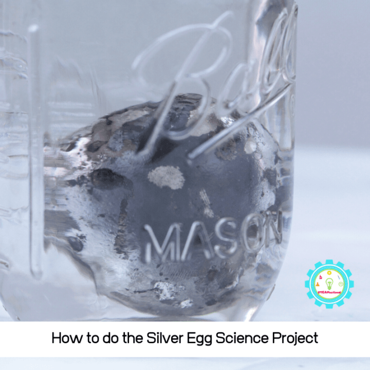 Silver Model Science How to Do the Silver Egg Science Experiment