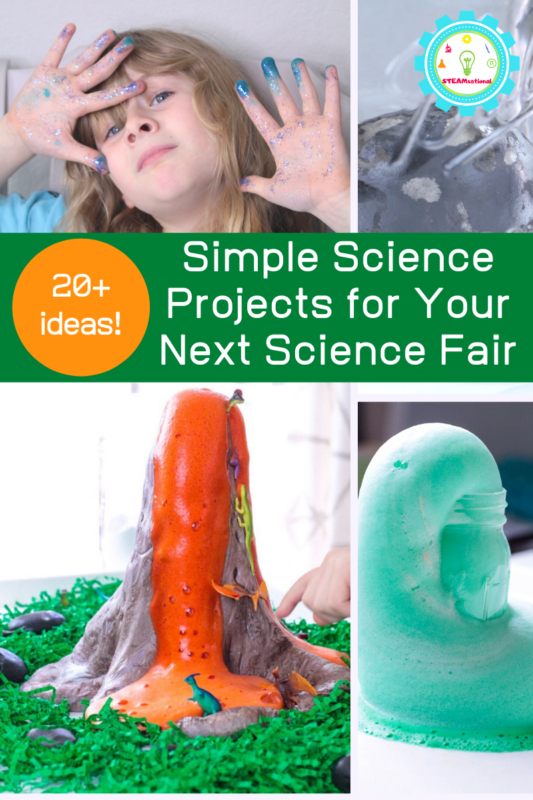 kid science projects for school