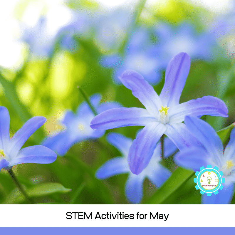 This list of May STEM activities is fun, engaging, and filled with outdoor activities. You don't have to be a STEM expert to do these May STEM projects!