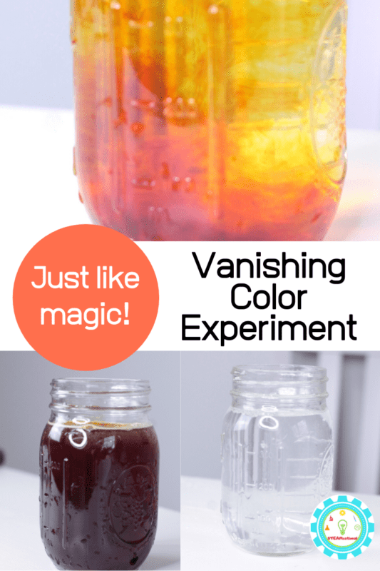 Learn how to do your own iodine and vitamin C experiment disappearing color experiment and wow family, friends, and neighbors this summer!