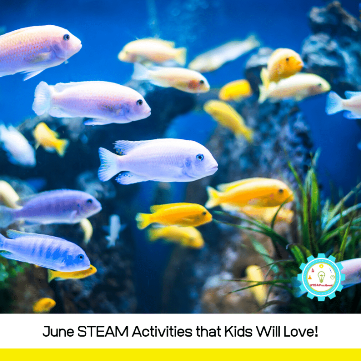 June STEAM Activities Bucket List for Kids